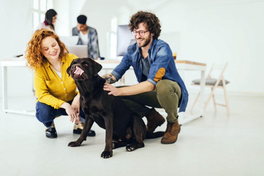 black dog in the office surrounded by people