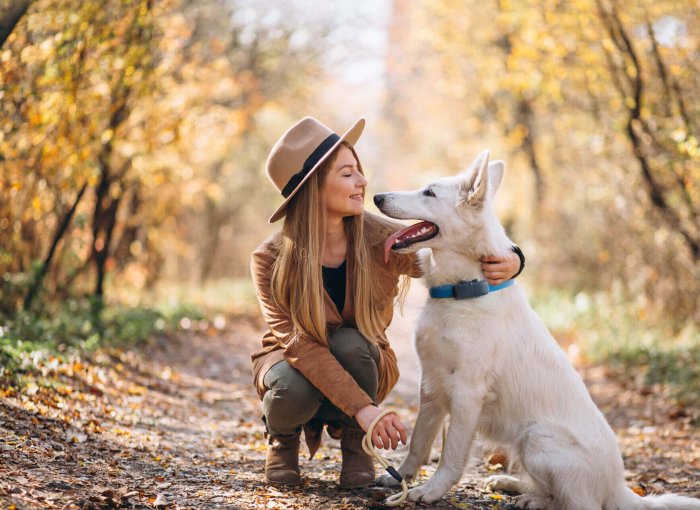 Femme accroupie sur un sentier de forêt en automne avec grand chien blanc portant un GPS Tractive au cou