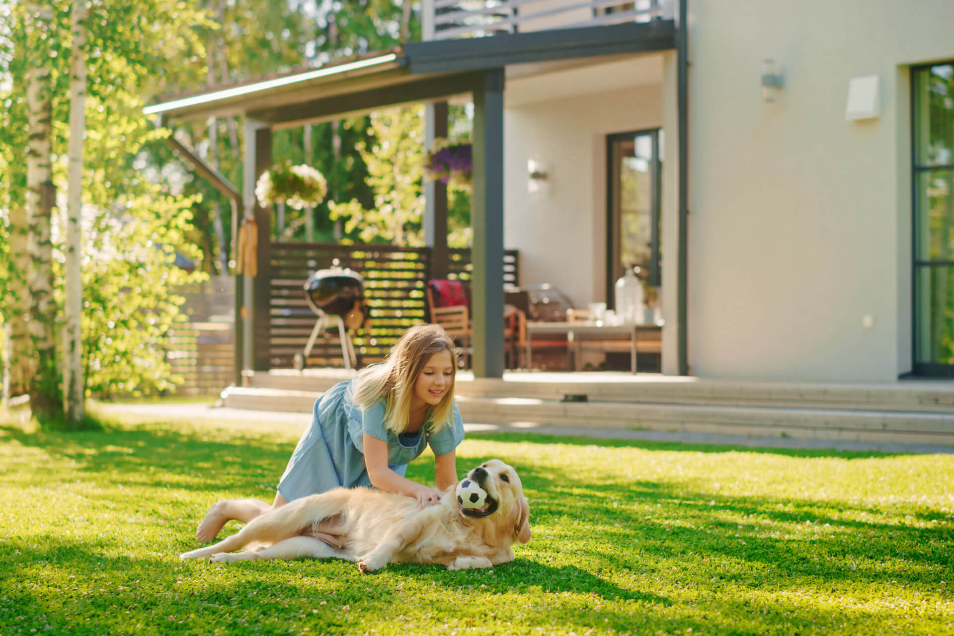 how to keep a nice yard with dogs