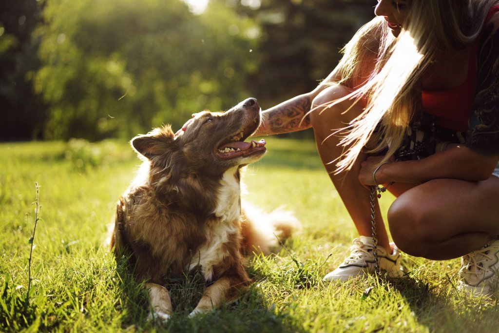 ung kvinne kneler ned og klapper en brun hund som ligger i gresset ute i en park