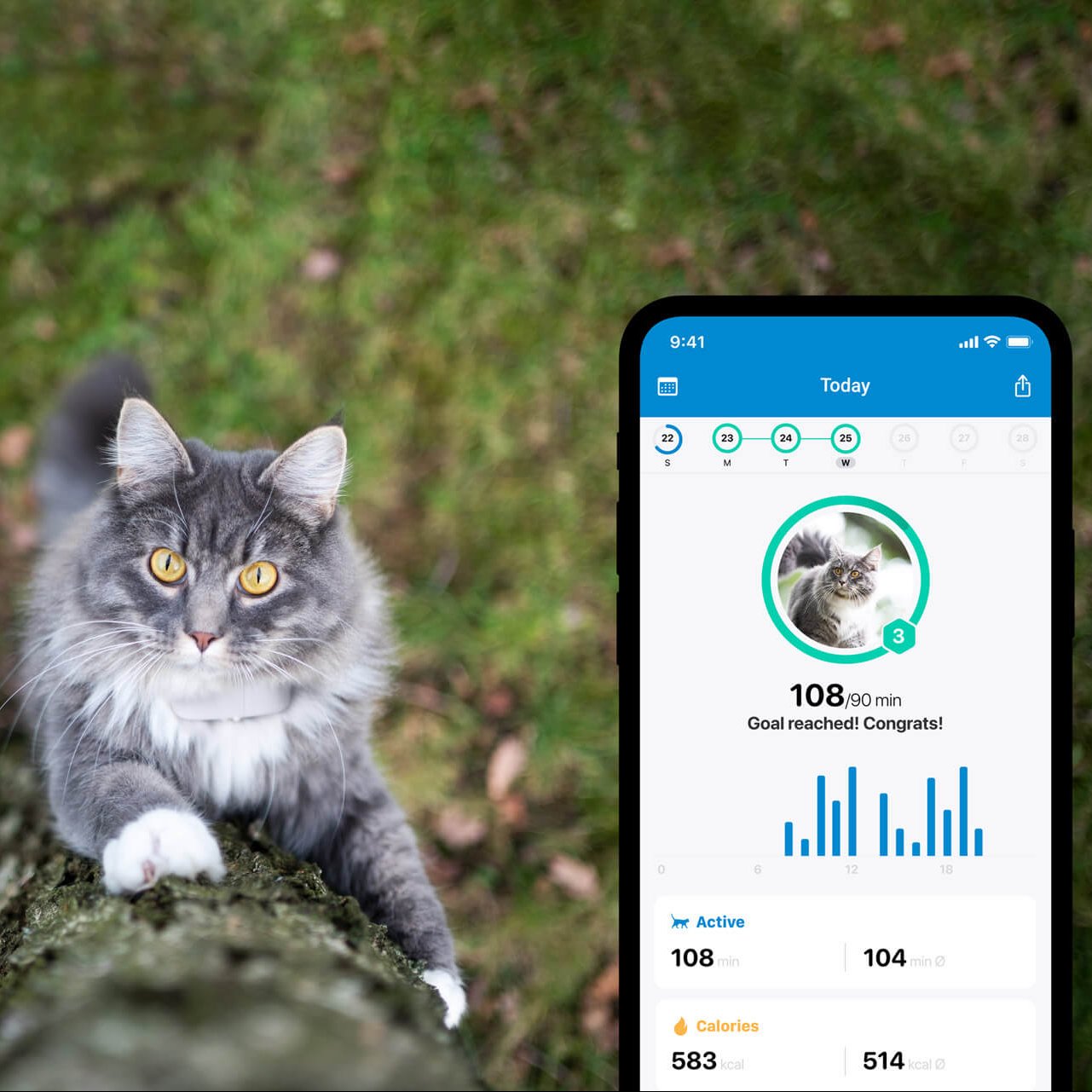 grijze kat die buiten in een boom klimt, screenshot activiteit van kat volgen in de Tractive GPS-app