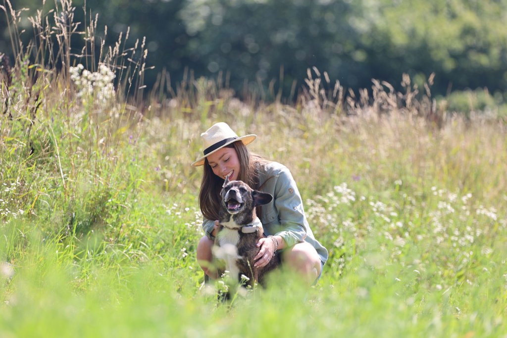  perro con rastreador gps y mujer joven arrodillada en un prado o campo cubierto de hierba