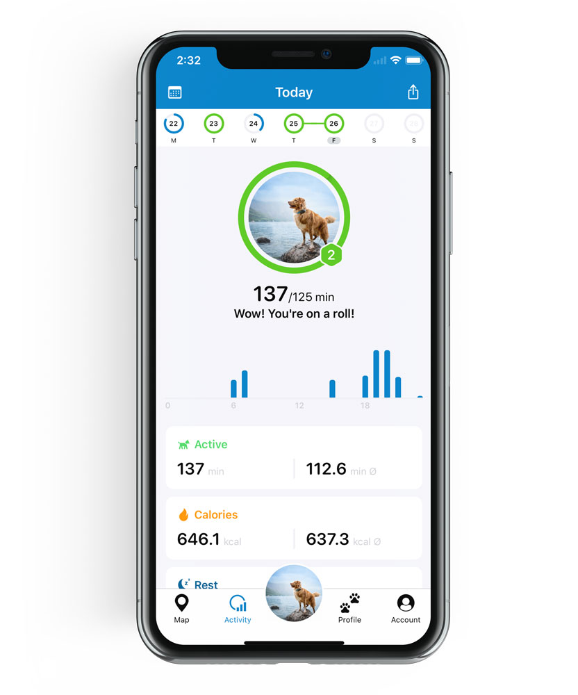 tractive gps activity monitoring for dogs app screen