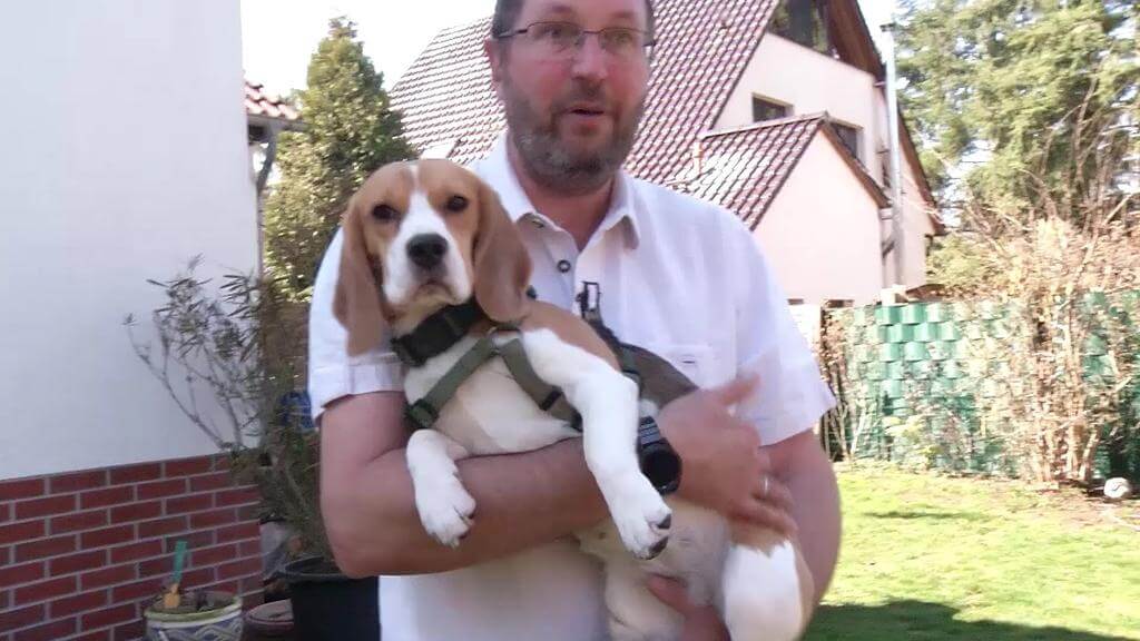 Dueño con su "beagle" en los brazos después de recuperarla de un robo