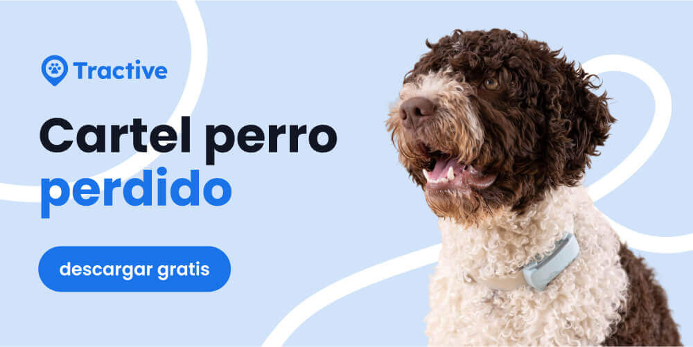 Cartel gratuito de perros perdidos de Tractive