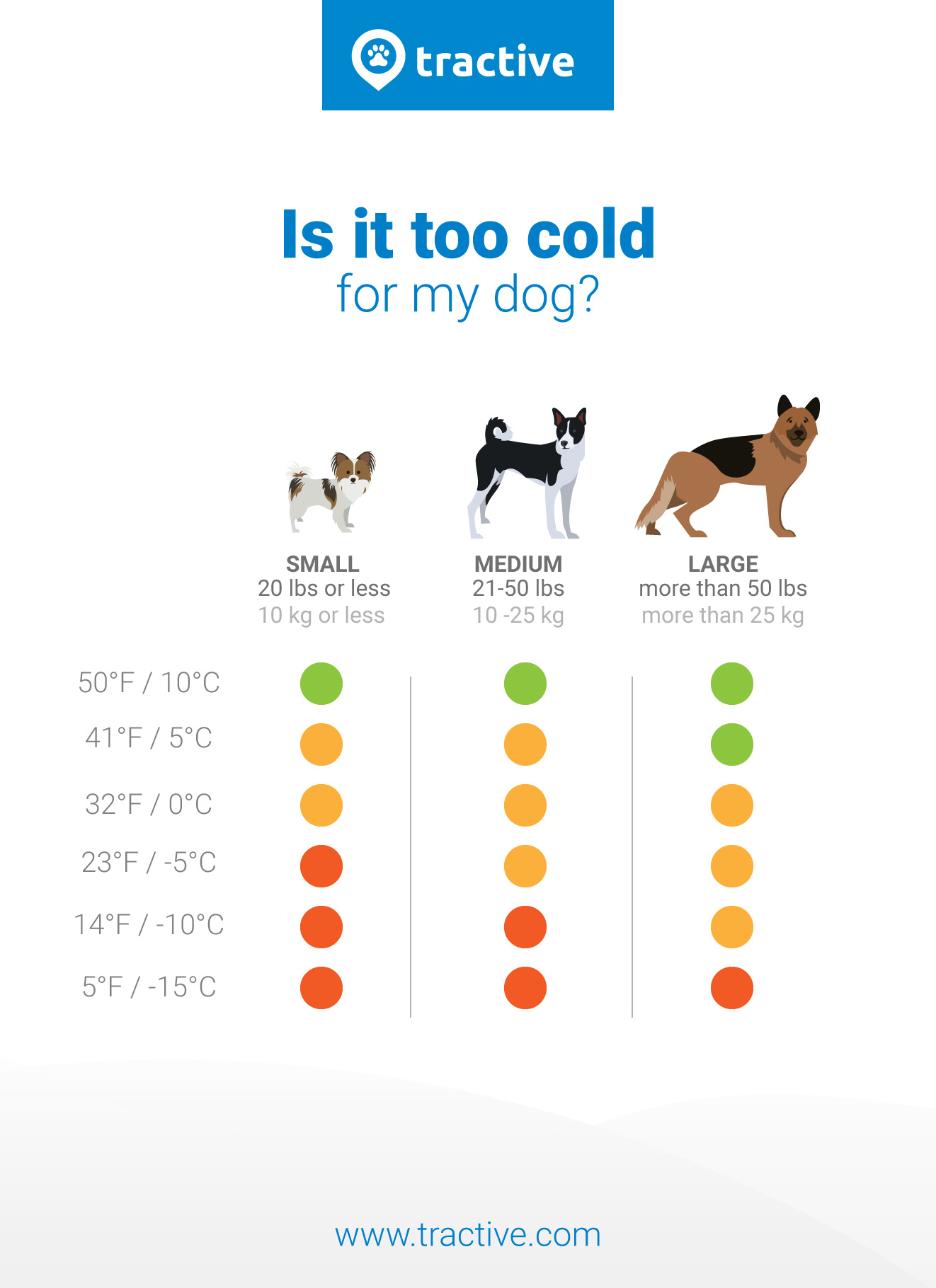 Safe temperature for dogs outside