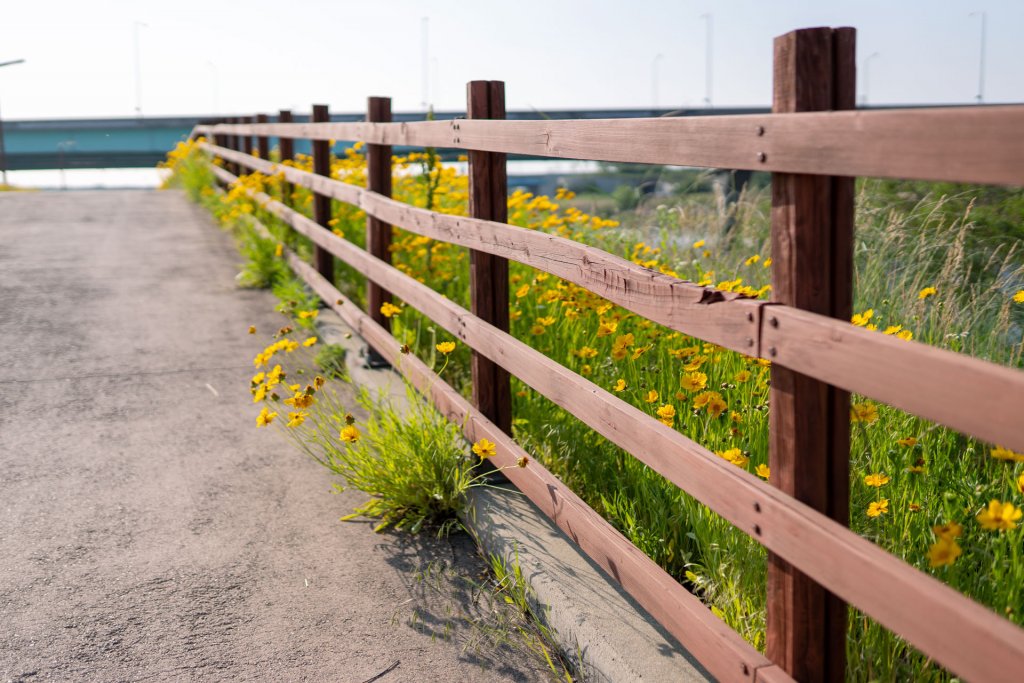 brązowe drewniane ogrodzenie otoczone żółtymi kwiatami