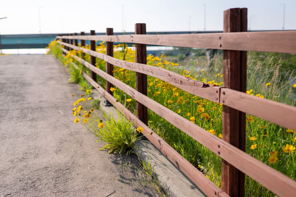 brunt træhegn med gule blomster