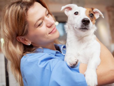 femme tenant un petit chien blanc et brun dans les bras, tourné vers le photographe