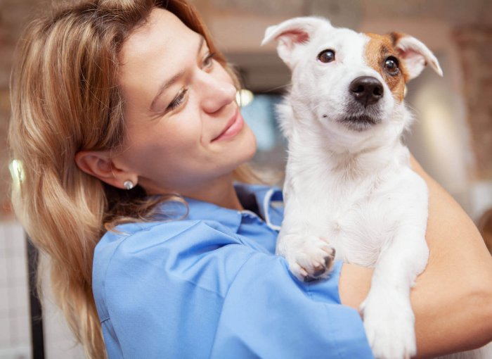 femme tenant un petit chien blanc et brun dans les bras, tourné vers le photographe