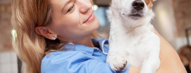 en kvinnelig veterinær som holder hvit og brun hund