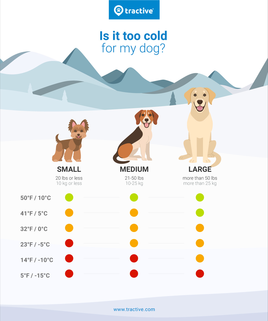 How Cold Is Too Cold For Dogs? Tips For Dogs & Cold Weather | Tractive