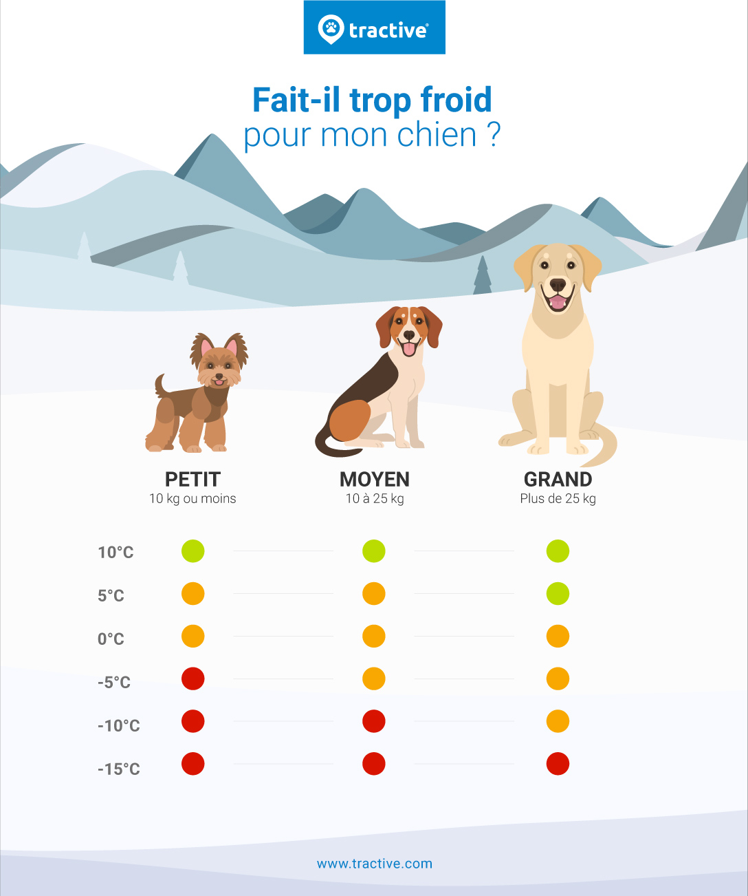 à partir de quelle température fait il trop froid pour les chiens - infographie de Tractive