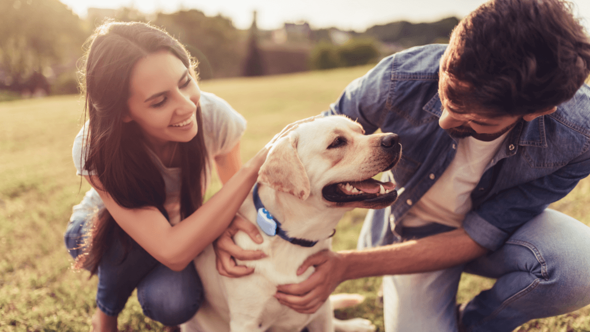 A man and woman hugging a dog wearing a Tractive GPS