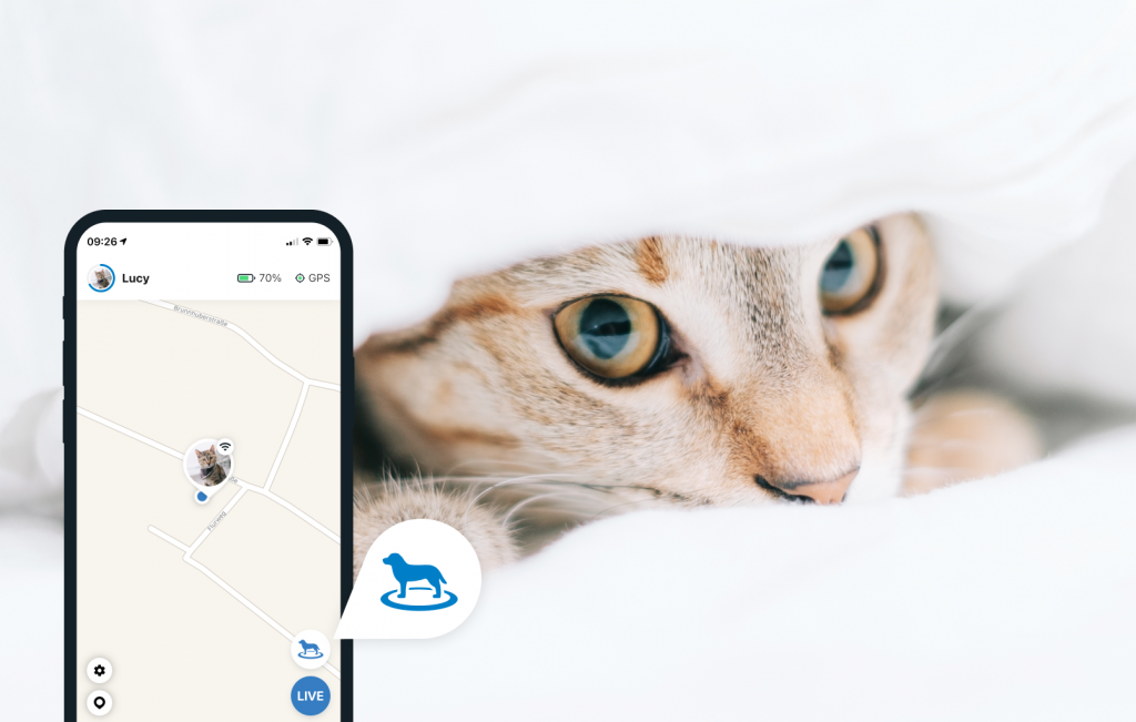 Katze versteckt sich unter weißer Bettdecke, Screenshot der Tractive GPS App im Vordergrund mit Finden-Modus
