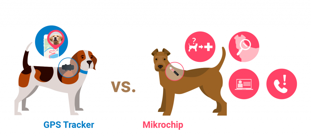 Grafik der Gegenüberstellung GPS Tracker vs. Mikrochip für Hunde