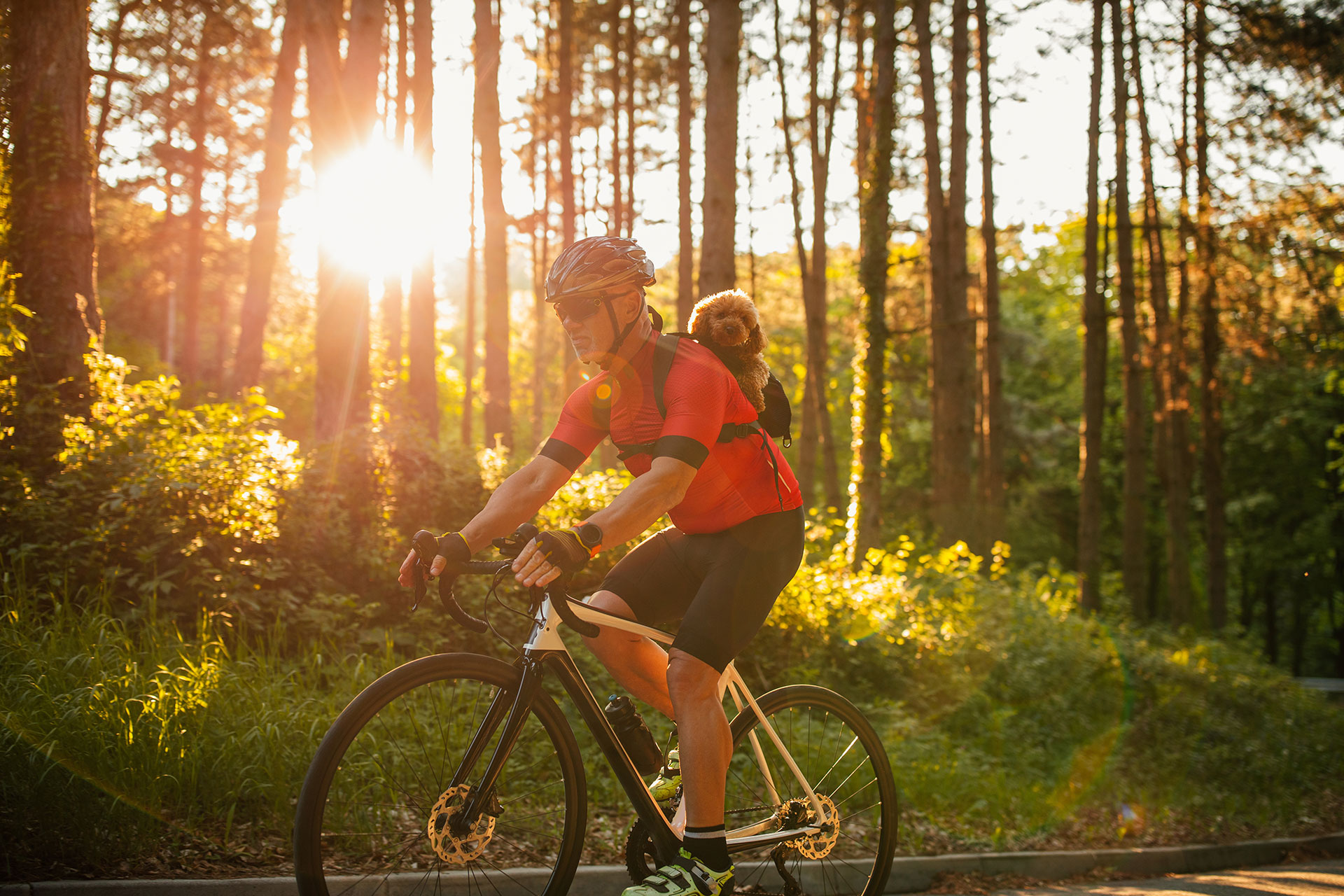 man riding bike in the forest with a small dog riding in a backpack