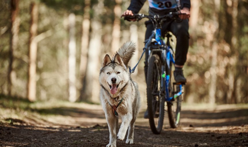 A man biking with his dog through the woods