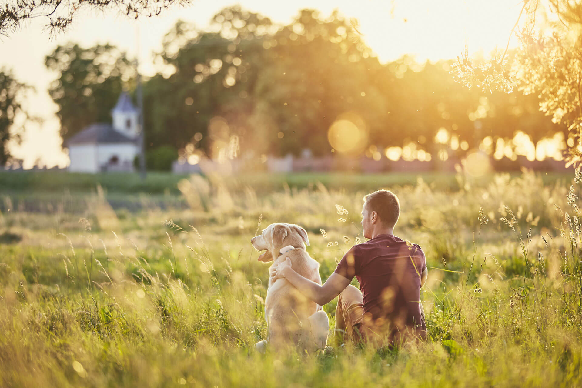 homme assis dans un champ avec son chien au soleil couchant