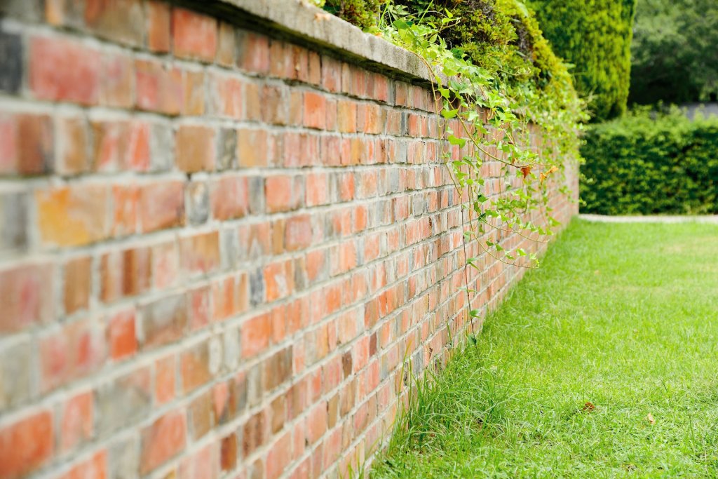 mur en briques dans un jardin tondu avec du lierre passant par-dessus le mur