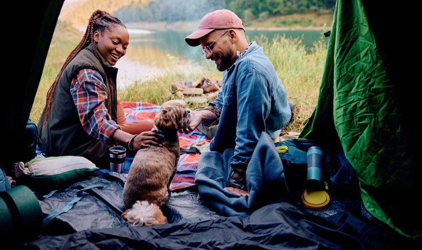A couple sitting in a camping tent with a small dog