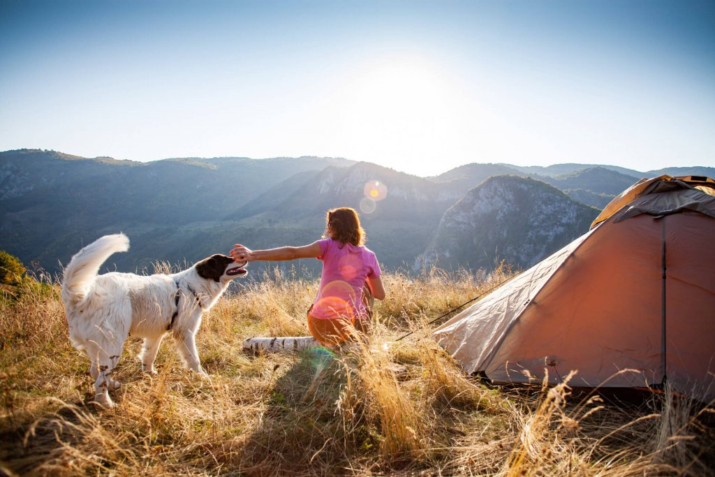 dog and woman camping together outside tent with sunshine and mountains
