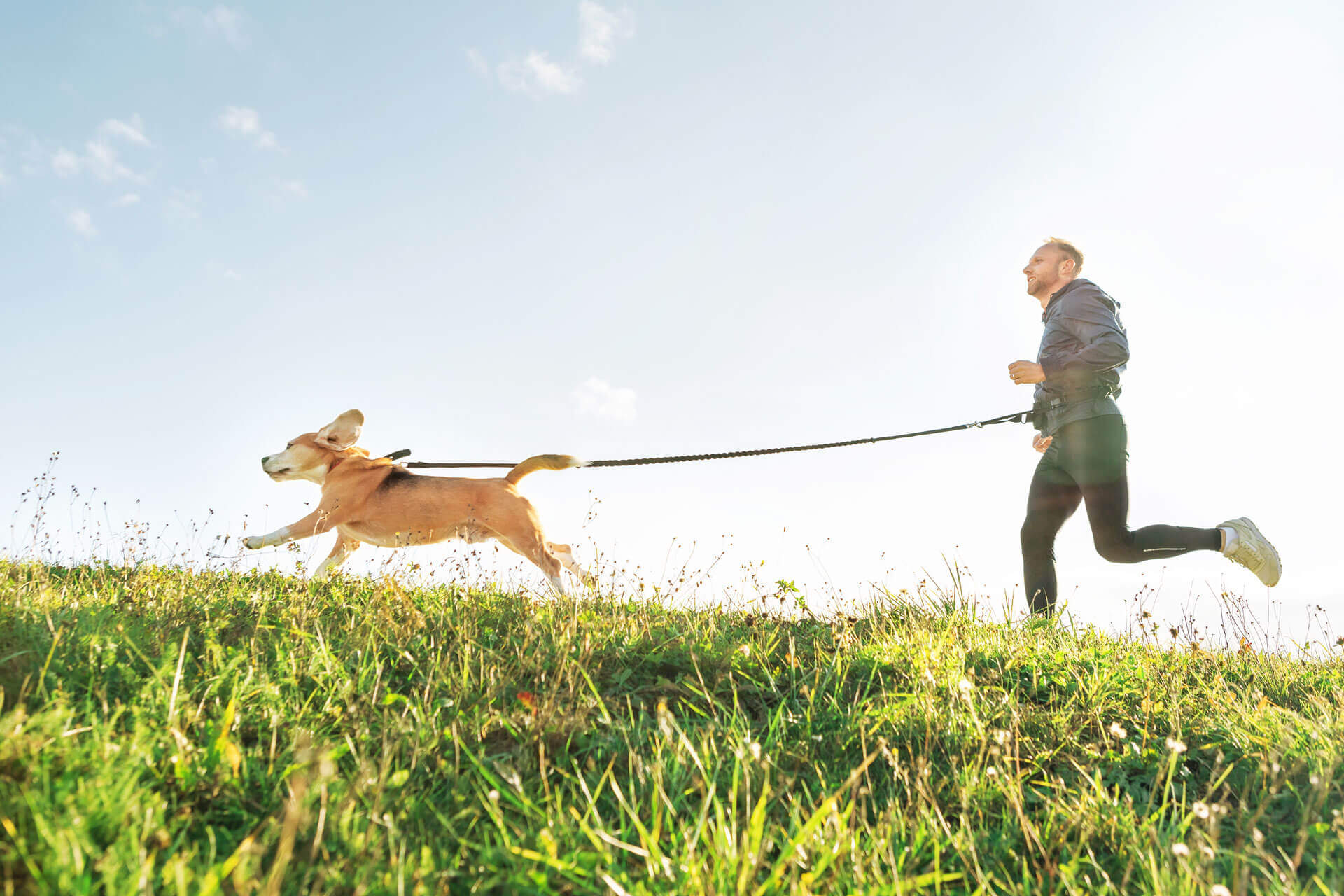 Mann mit Hund an der Leine laufen gemeinsam über die Wiese