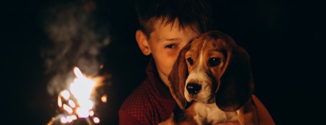 A little boy showing his dog a lit sparkler