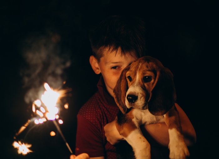 A little boy showing his dog a lit sparkler