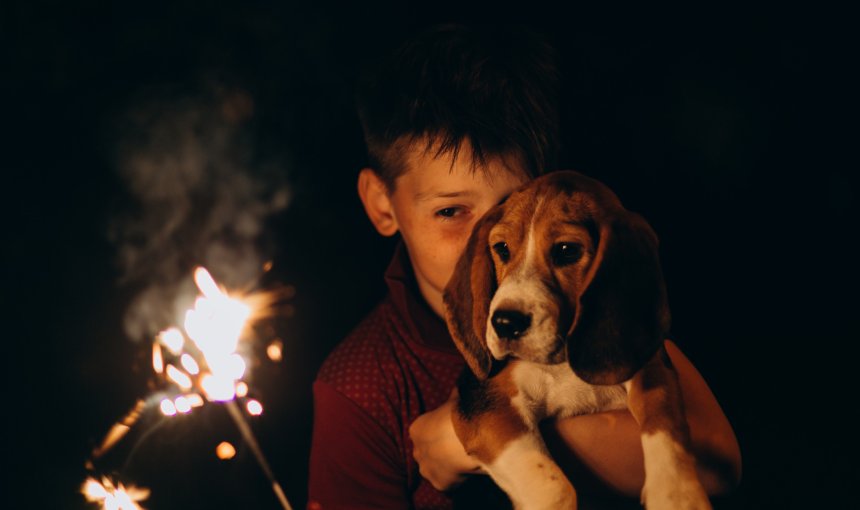 A little boy showing his dog a lit sparkler