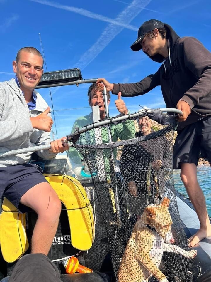 drie mannen en geredde hond in visnet op een boot op zee met blauwe lucht