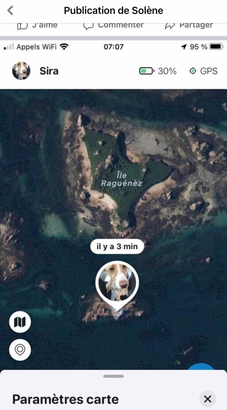 screenshot of dog on a rock in the ocean in tractive gps app
