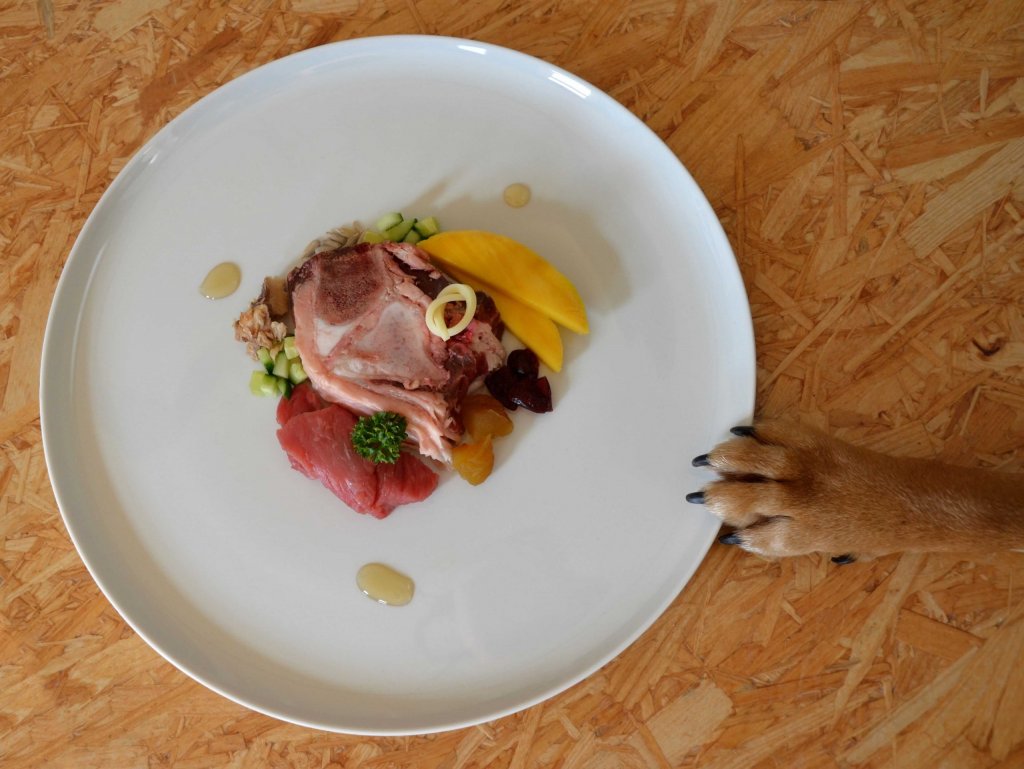 patte de chien repoussant une assiette avec de la viande et des légumes
