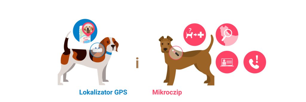 ilustracja przedstawiająca dwa psy: jeden ma mikroczip, a drugi ma lokalizator GPS, czip do śledzenia psa