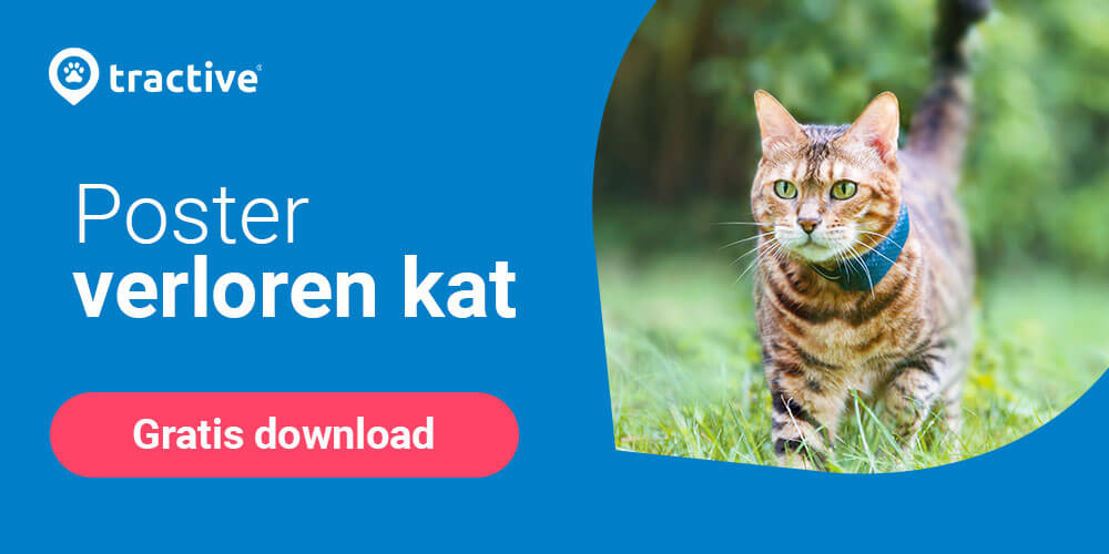 Flyer voor vermiste katten gratis te downloaden via Tractive