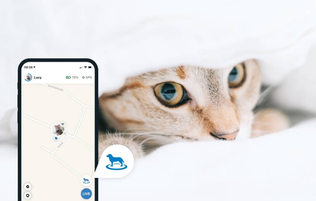 przedstawienie trybu Znajdź na ilustracji z kotem i lokalizatorem Tractive Bluetooth GPS