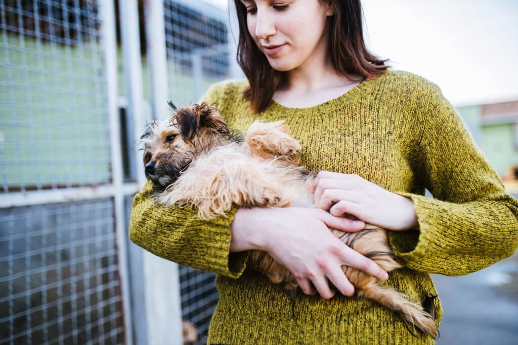 Frau im grünen Pullover hält kleinen braunen Hund mit Käfigen im Hintergrund