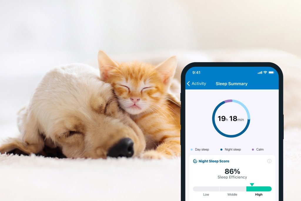 Hund und Katze zusammengekuschelt neben Handydisplay mit offener Tractive App