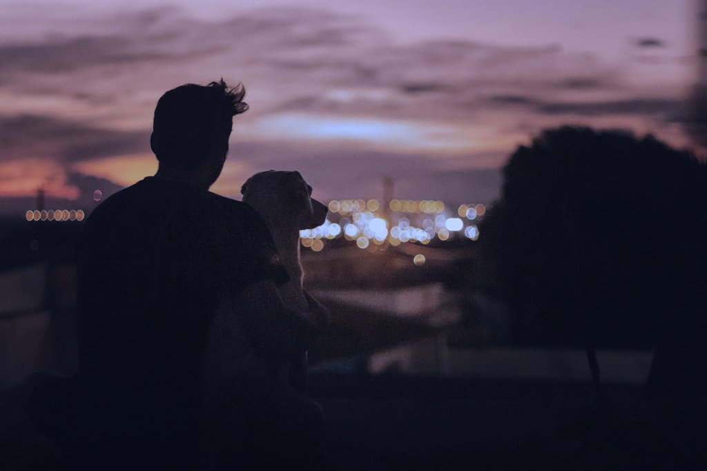 Man och hund som blickar ut över en mörk stad på kvällen
