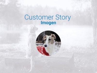 customer story header image for blog post about imogen, the dog who was saved from a frozen lake