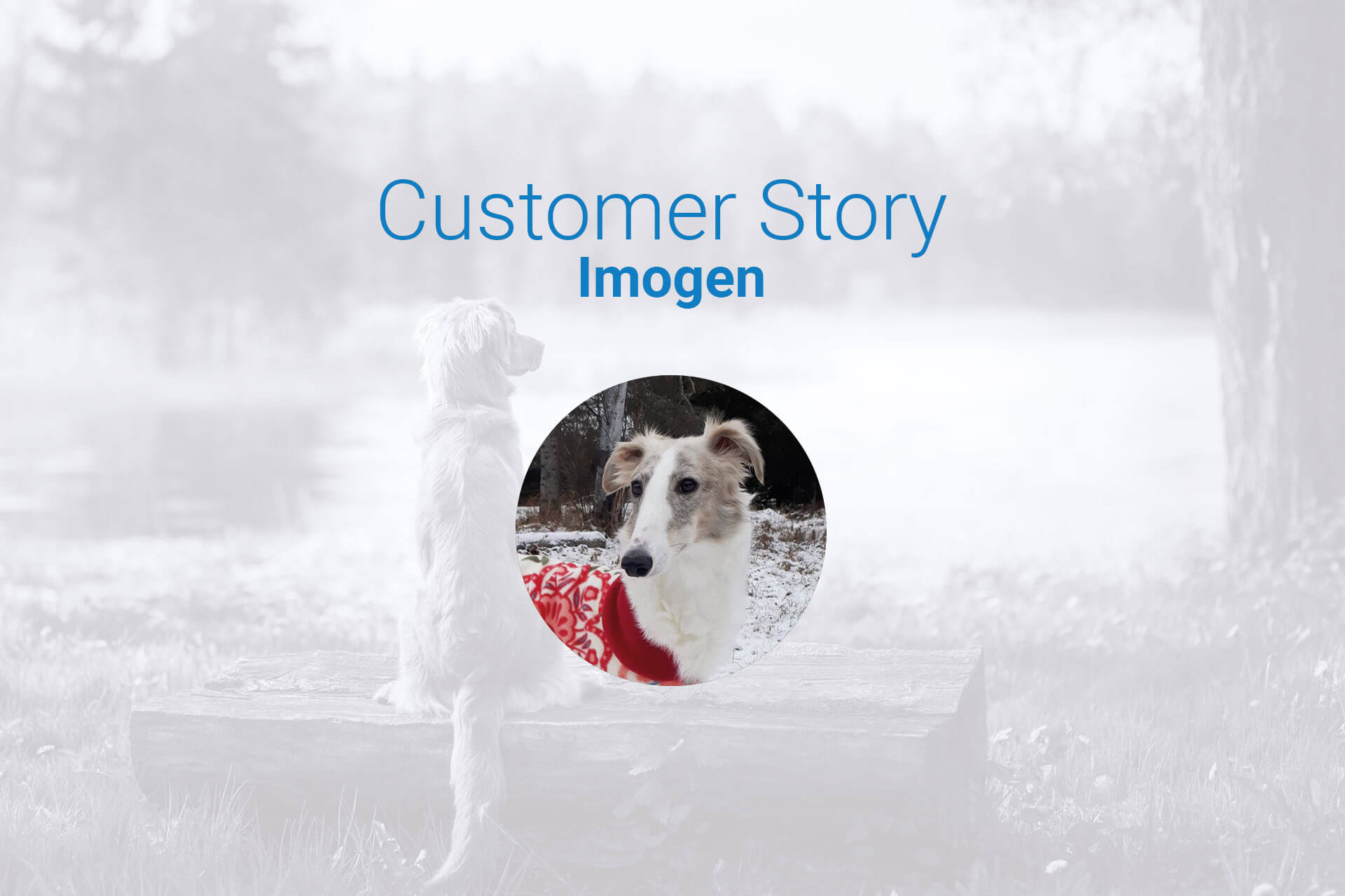 customer story header image for blog post about imogen, the dog who was saved from a frozen lake