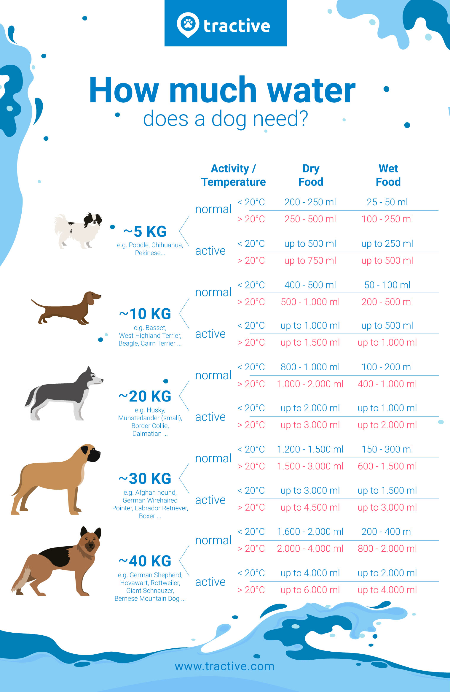infographic overview of how much water a dog needs by size, activity level, and food type