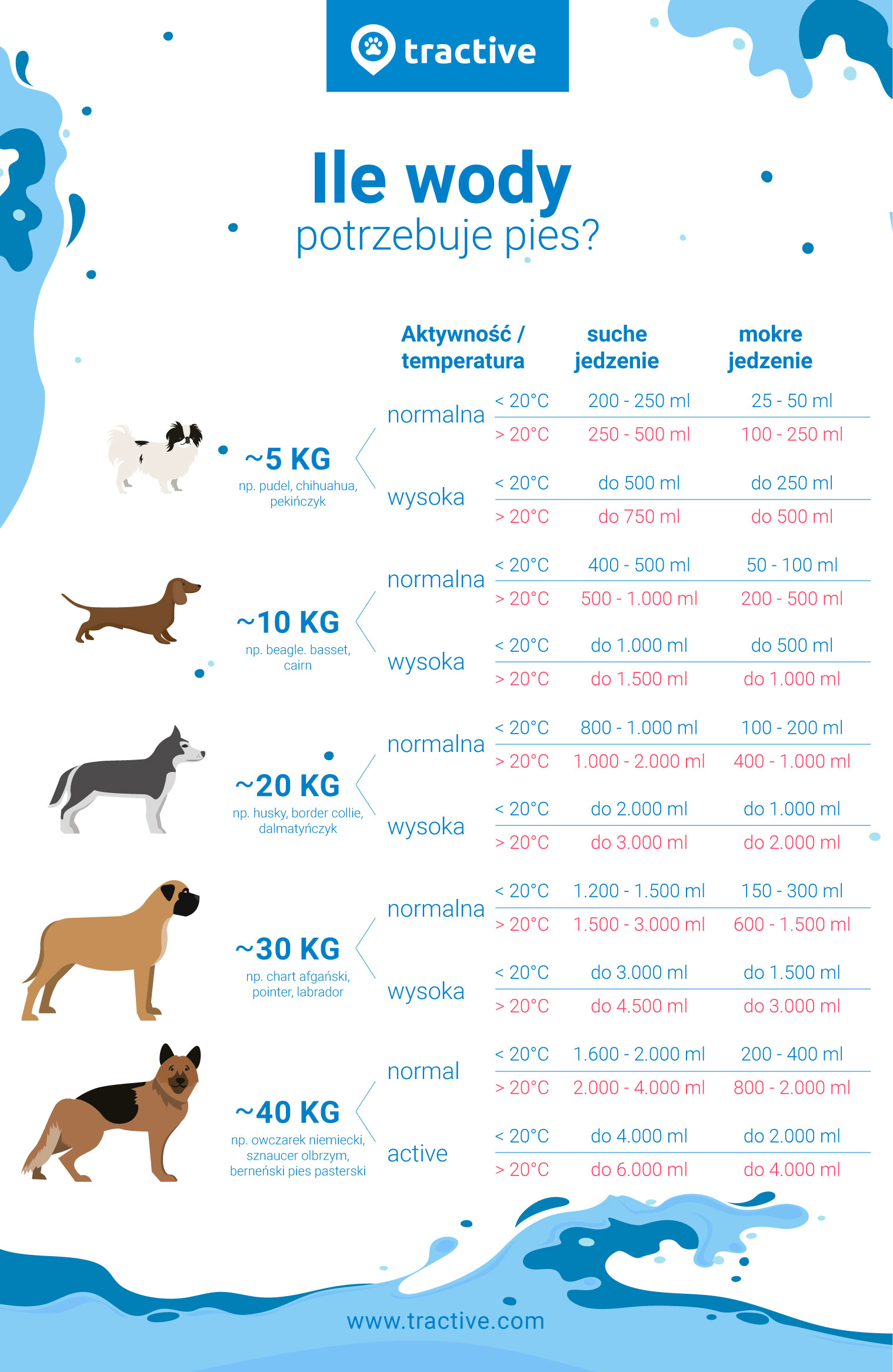 infografika prezentująca ilości wody, którą pies powinien pić w zależności od wielkości, poziomu aktywności i rodzaju jedzenia