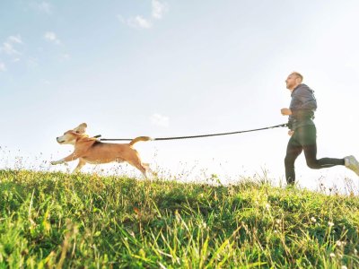 Homme courant avec son chien à la laisse dans un champ au soleil