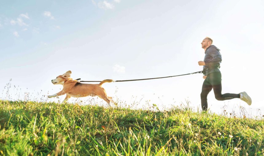 Homme courant avec son chien à la laisse dans un champ au soleil