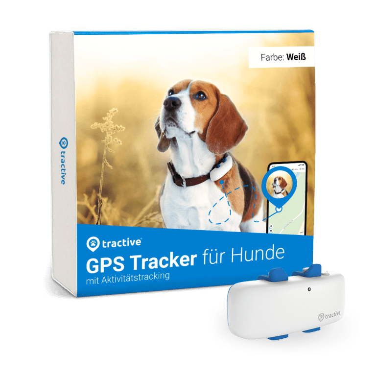 Dein Hund springt über den Zaun? Das hilft! Tractive