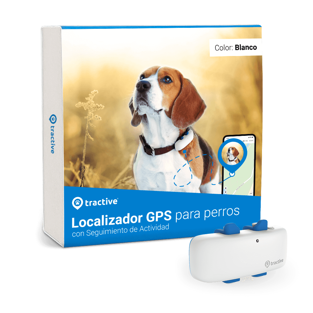 Caja de Tractive GPS DOG 4 - Localizador GPS para perros