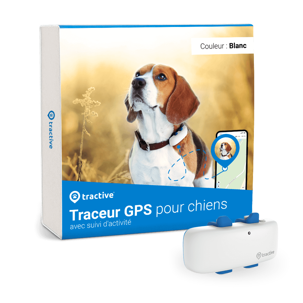 Emballage du traceur Tractive GPS pour chiens