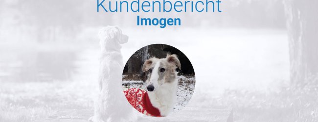 Hündin Imogen im Wald im Schnee mit buntem Hundemantel