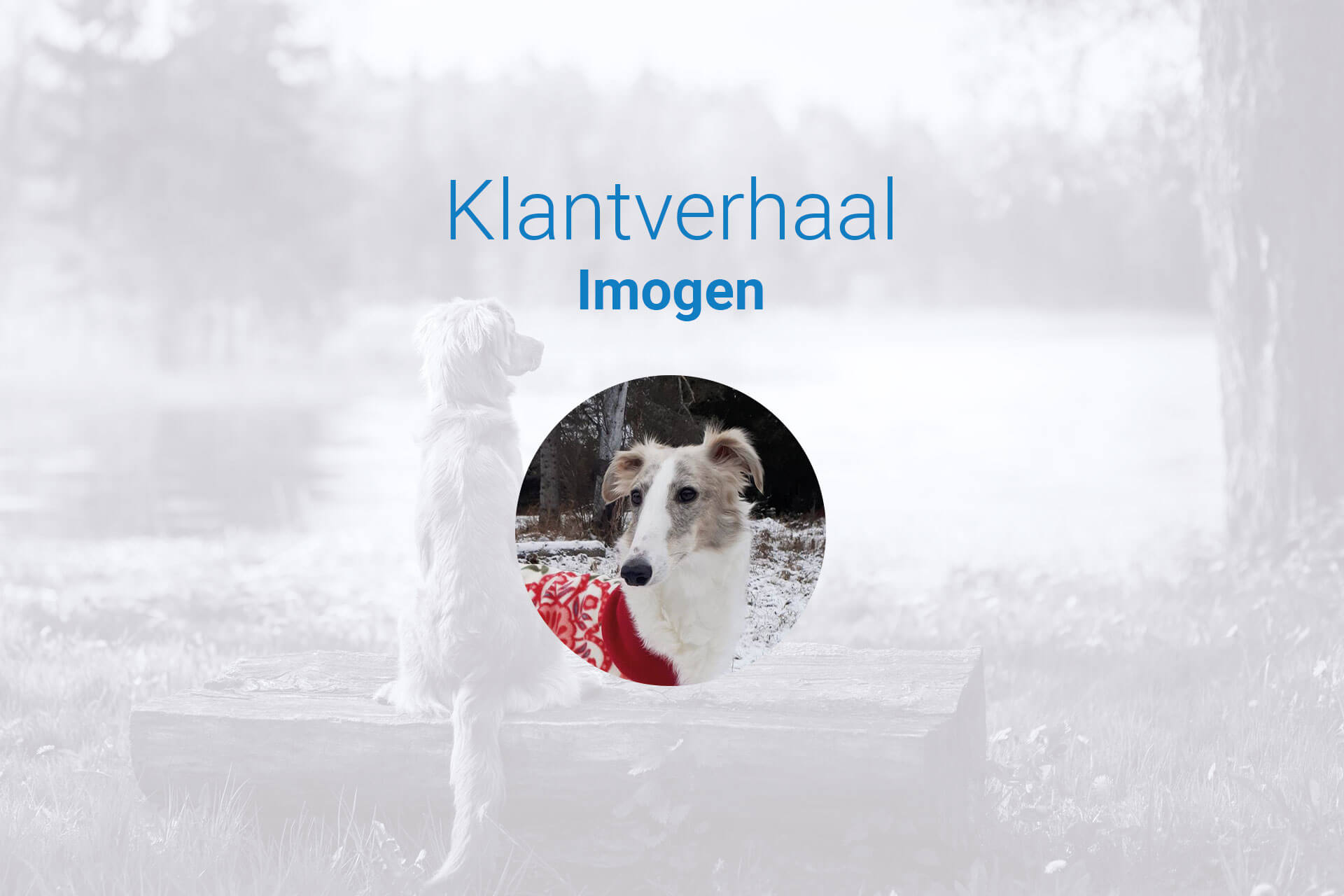 Tractive: gps-tracker voor kat of hond